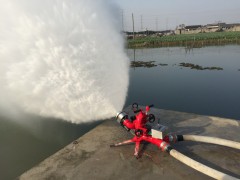 PSKDY8/80WB丨移动式自摆电控消防炮PSKDY80ZB-MX丨遥控消防水炮PLKDY80ZB遥控泡沫炮